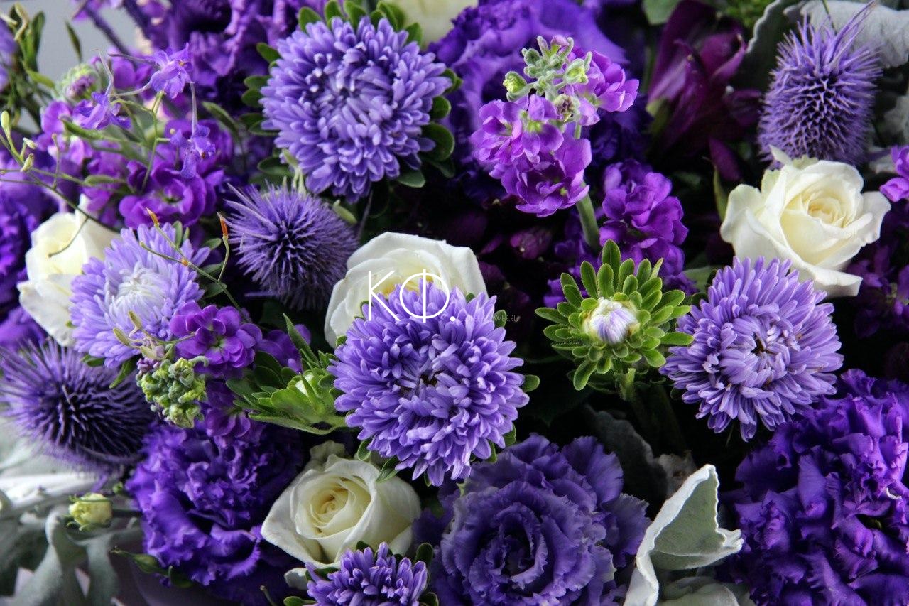 Букет из фиолетовых астр и белой хризантемы на 1 сентября