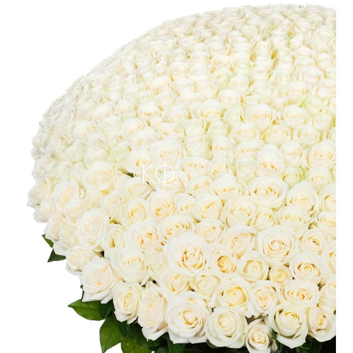 Огромный букет белых роз картинки