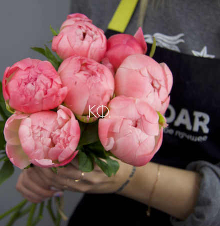 Пион коралловый - фото