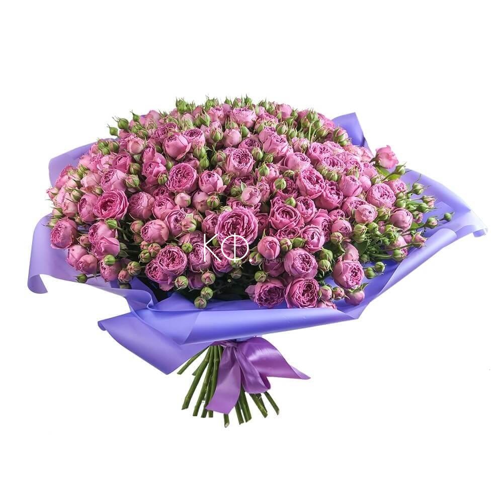 фиолетовые кустовые розы