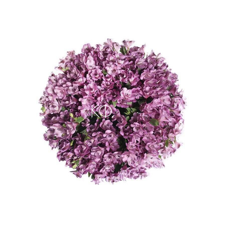 Альстромерии «Фиолетовые» - фото